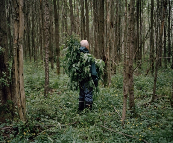 طبیعت و هنر مفهومی کارولینه هیورت ریتا ایکونن