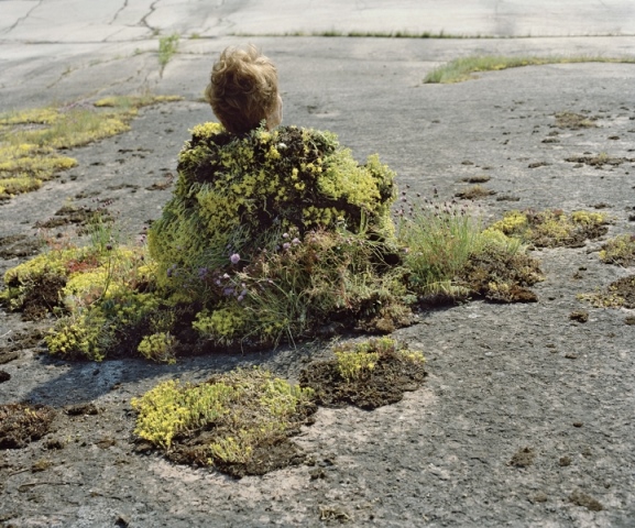 طبیعت و هنر مفهومی کارولینه هیورت ریتا ایکونن