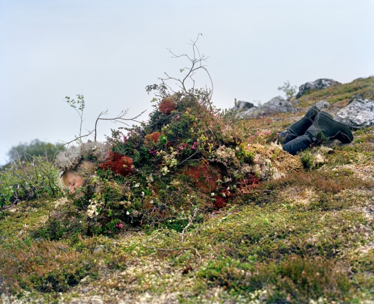 طبیعت و هنر مفهومی کارولینه هیورت ریتا ایکونن