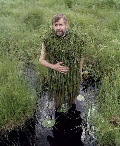 طبیعت و هنر مفهومی کارولینه هیورت ریتا ایکونن