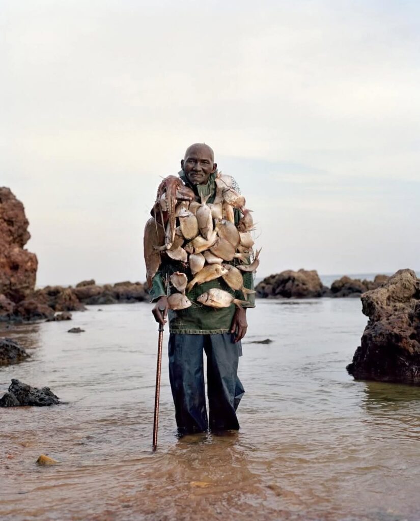 طبیعت و هنر مفهومی کارولینه هیورت ریتا ایکونن