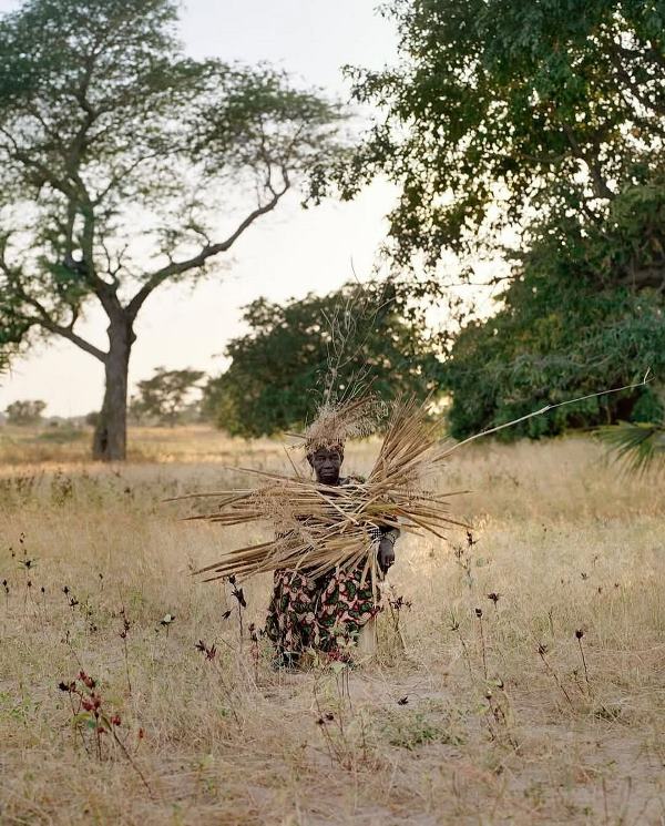 طبیعت و هنر مفهومی کارولینه هیورت ریتا ایکونن