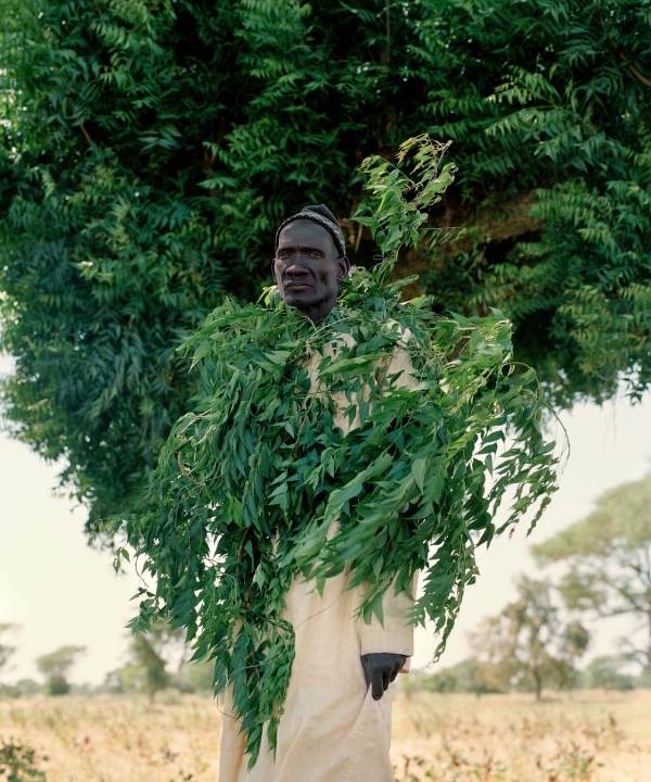 طبیعت و هنر مفهومی کارولینه هیورت ریتا ایکونن