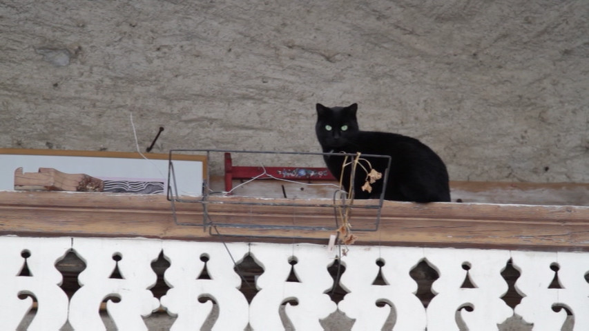 جان برجر کتاب شیوه های نگریستن تجربه زیسته