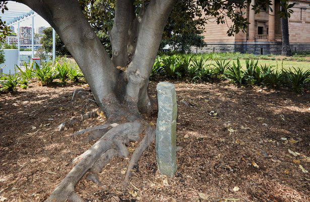 هنر پایدار و توسعه پذیر هنر به مثابه استراتژی اثر جوزف بویز