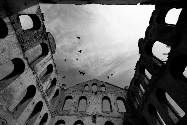 Ali Miremadi’s artworks