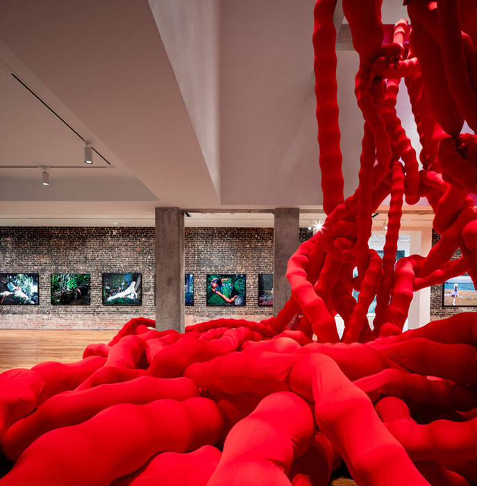 هشت ستاره دنیای هنر ژانائینا تشاپه