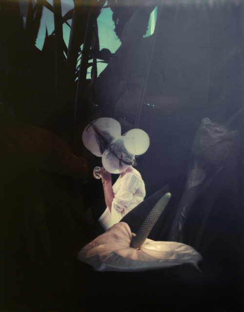 هشت ستاره دنیای هنر ژانائینا تشاپه