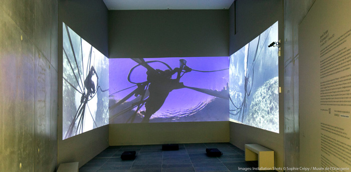 هشت ستاره دنیای هنر ژانائینا تشاپه