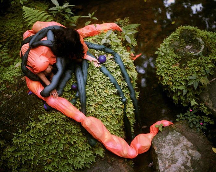 هشت ستاره دنیای هنر ژانائینا تشاپه